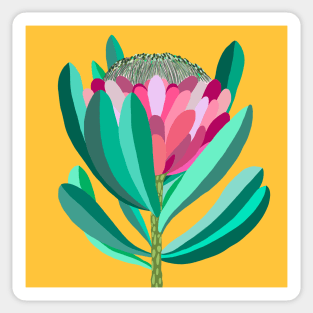 King Protea Sticker